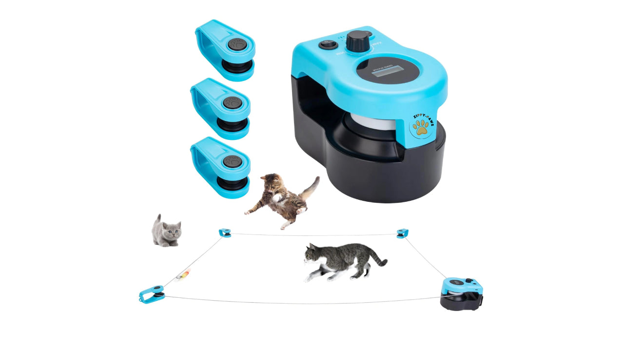 zippy-paws™ Cat interactive treadmill toy