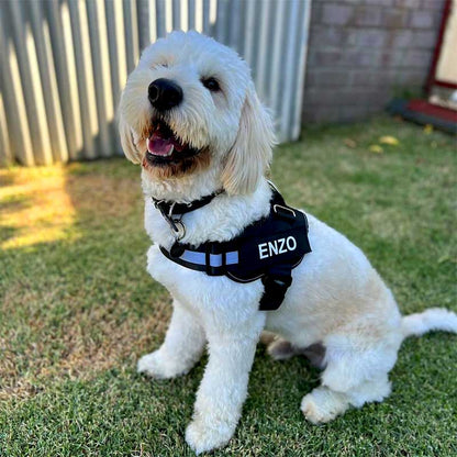 Personalised Reflective No-Pull Harness