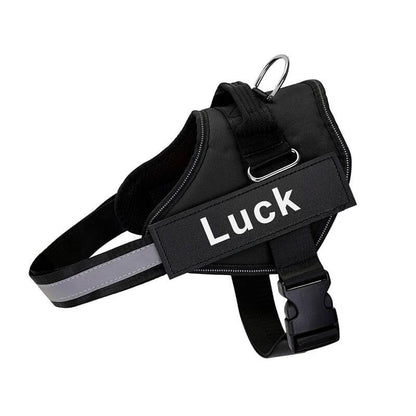 Personalised Reflective No-Pull Harness