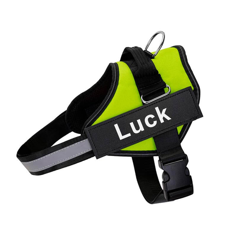 Personalised Reflective No-Pull Harness